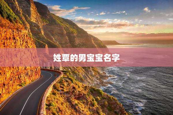 姓覃的男宝宝名字