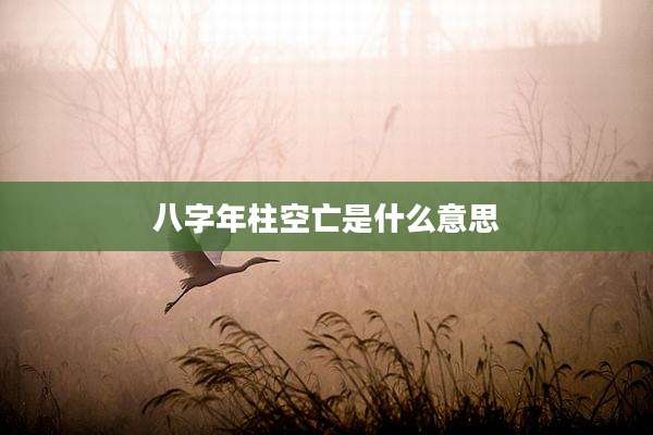 八字年柱空亡是什么意思