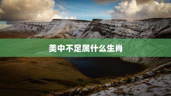 美中不足属什么生肖