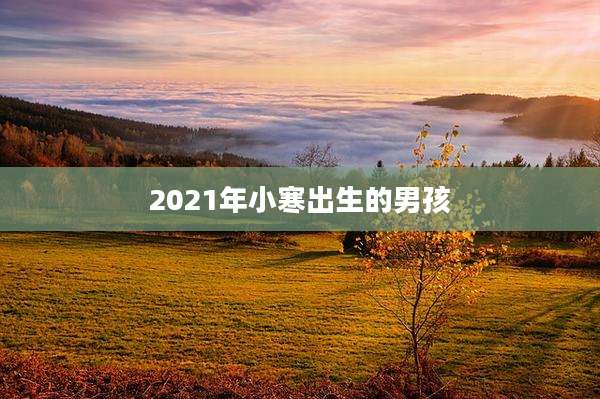 2021年小寒出生的男孩