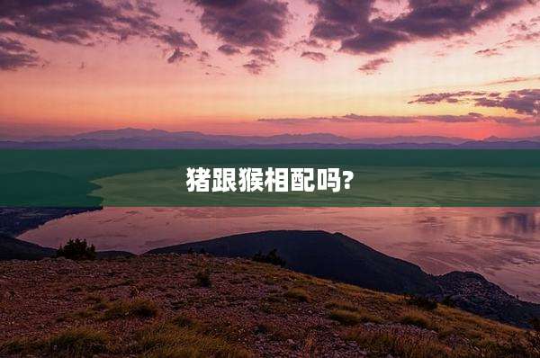 猪跟猴相配吗?