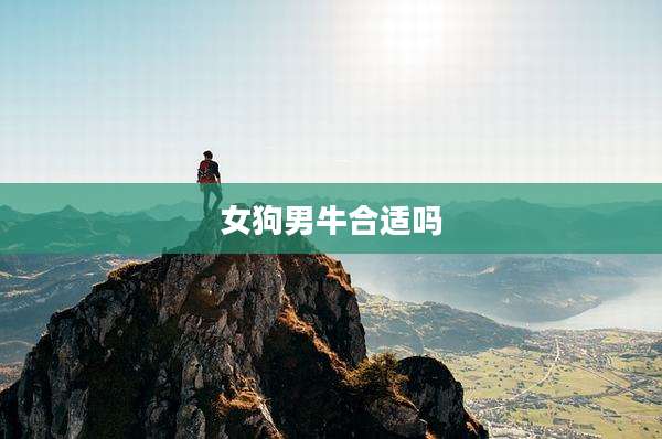 女狗男牛合适吗