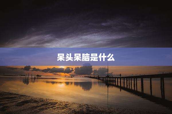 呆头呆脑是什么