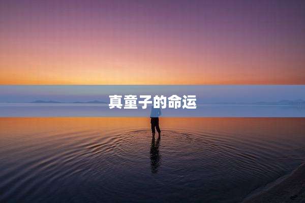 真童子的命运