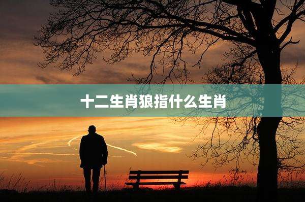 十二生肖狼指什么生肖