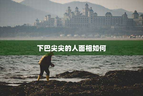 下巴尖尖的人面相如何