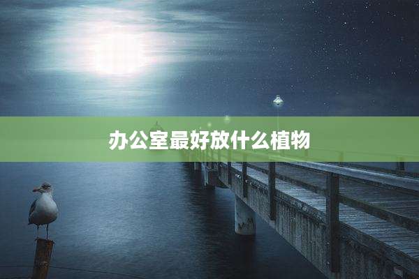 办公室最好放什么植物
