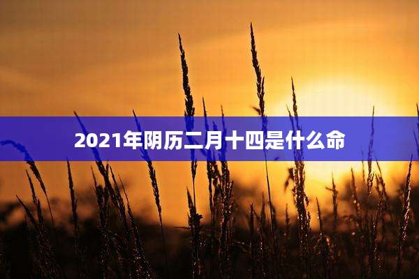 2021年阴历二月十四是什么命