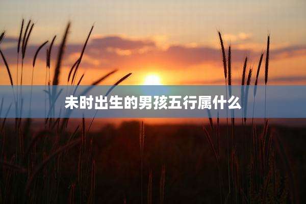 未时出生的男孩五行属什么