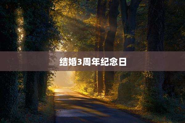 结婚3周年纪念日