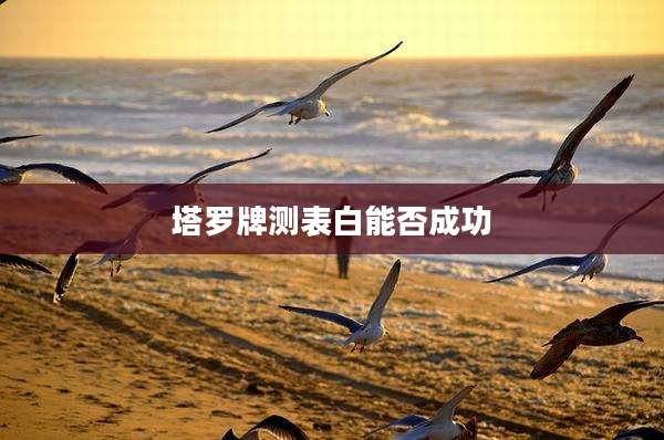 塔罗牌测表白能否成功
