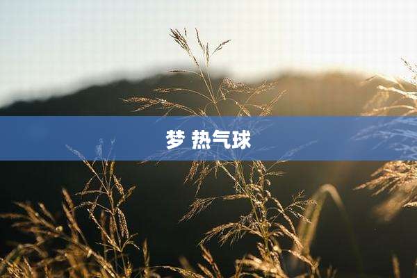 梦 热气球