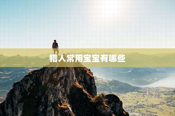 猎人常用宝宝有哪些