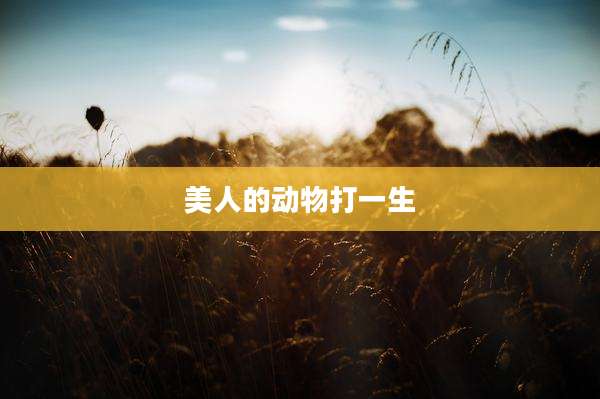美人的动物打一生