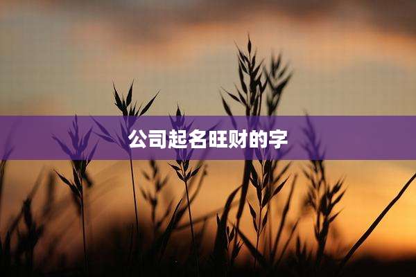 公司起名旺财的字