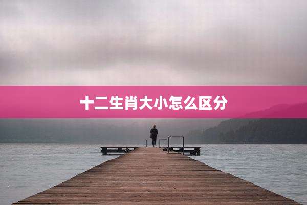 十二生肖大小怎么区分