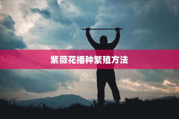 紫薇花播种繁殖方法