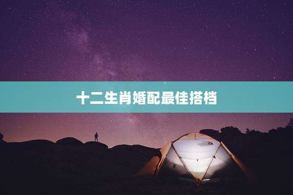 十二生肖婚配最佳搭档