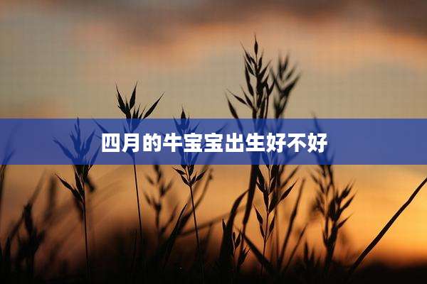 四月的牛宝宝出生好不好