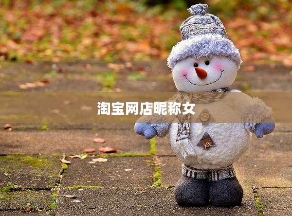 淘宝网店昵称女