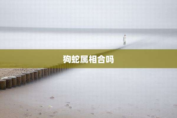 狗蛇属相合吗