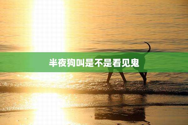半夜狗叫是不是看见鬼