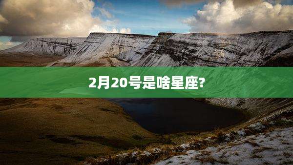 2月20号是啥星座?