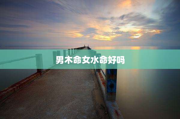 男木命女水命好吗