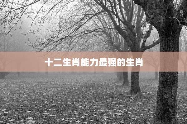 十二生肖能力最强的生肖