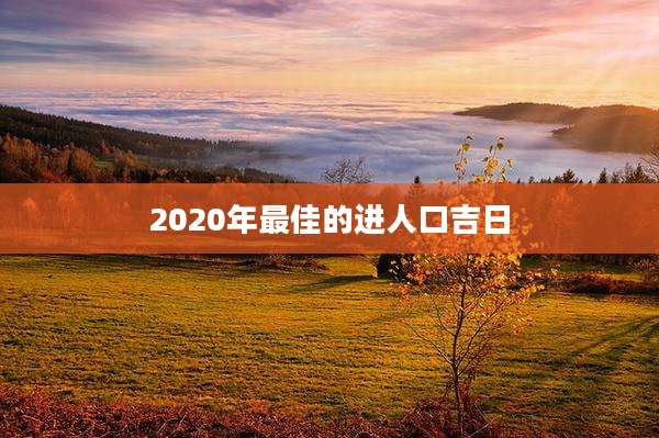 2020年最佳的进人口吉日