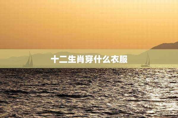 十二生肖穿什么衣服