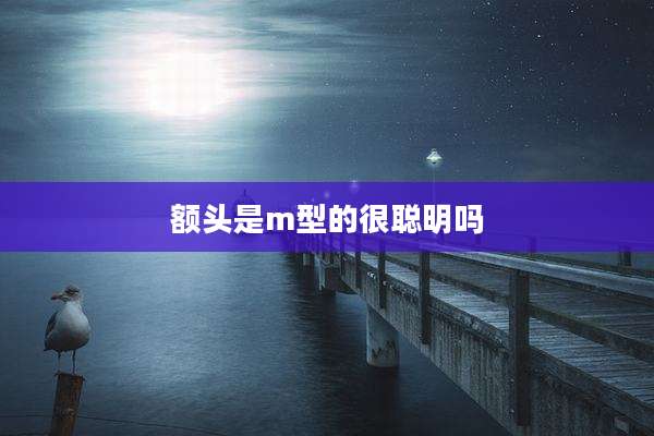 额头是m型的很聪明吗