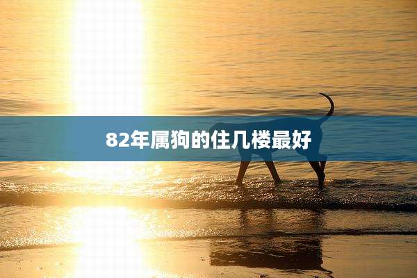 82年属狗的住几楼最好