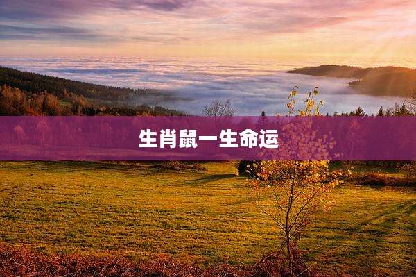 生肖鼠一生命运