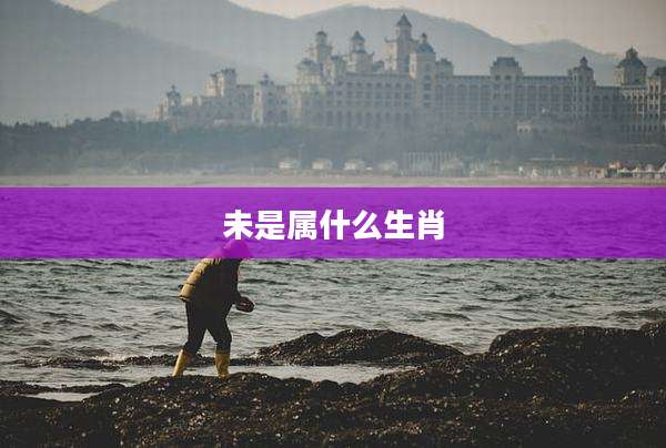 未是属什么生肖