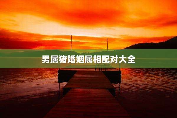 男属猪婚姻属相配对大全