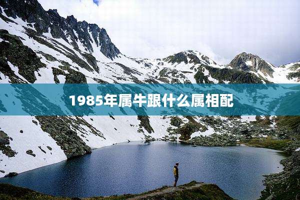 1985年属牛跟什么属相配