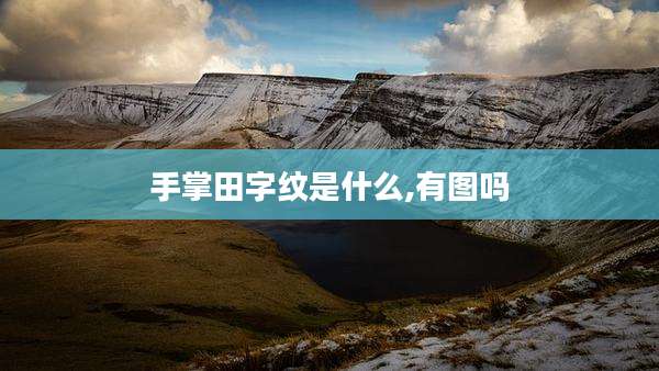 手掌田字纹是什么,有图吗