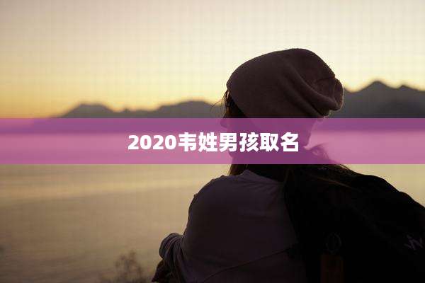 2020韦姓男孩取名