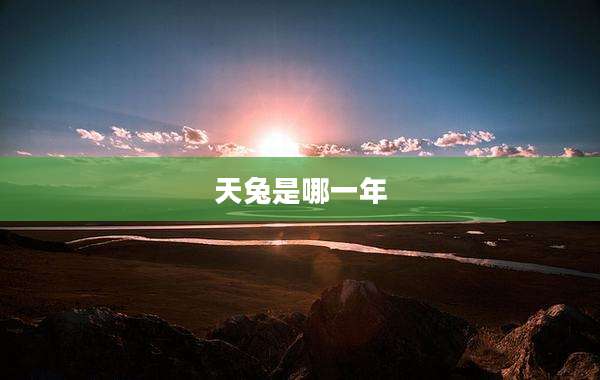 天兔是哪一年