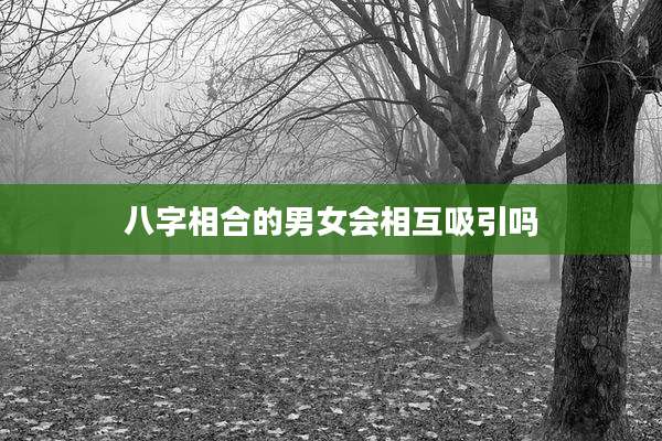八字相合的男女会相互吸引吗