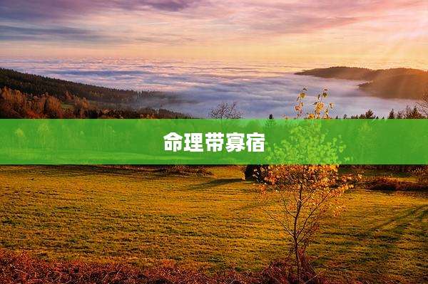 命理带寡宿
