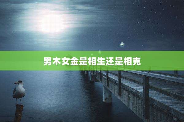 男木女金是相生还是相克