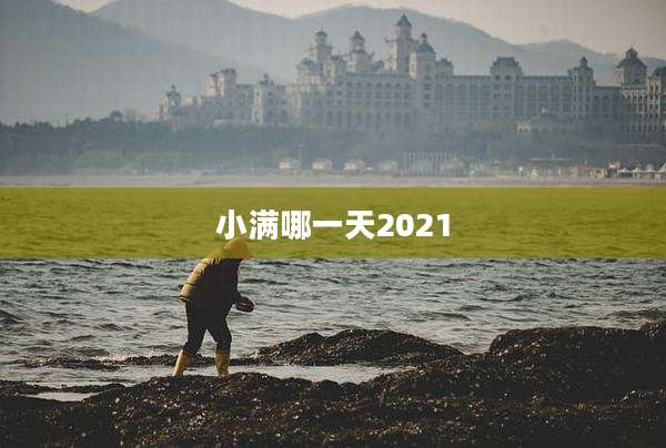 小满哪一天2021
