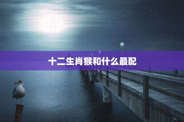十二生肖猴和什么最配