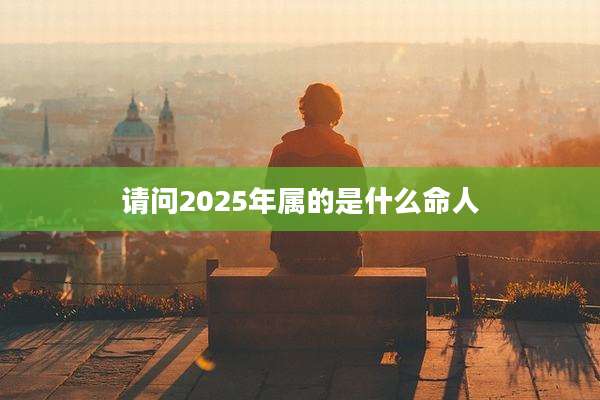请问2025年属的是什么命人
