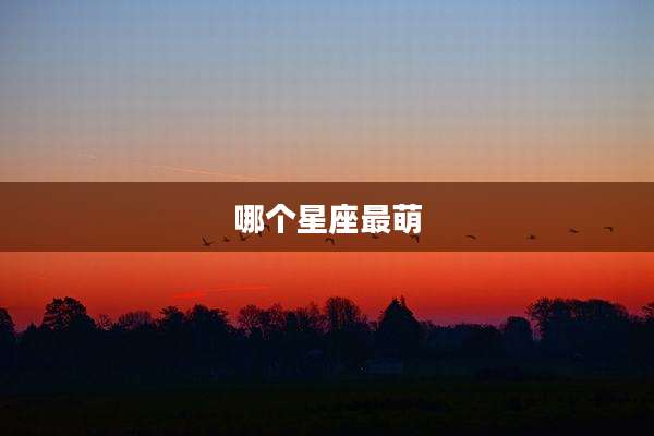哪个星座最萌