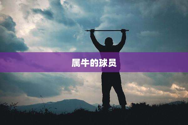 属牛的球员