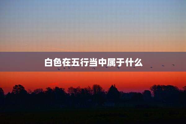 白色在五行当中属于什么