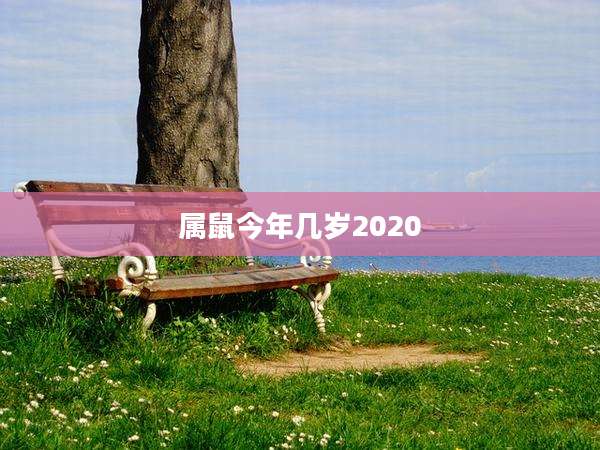 属鼠今年几岁2020